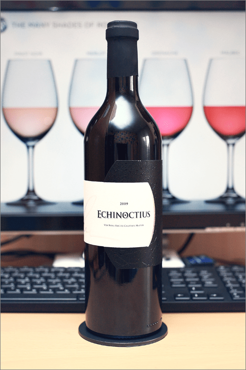 EQUINOX_Echinoctius_2009