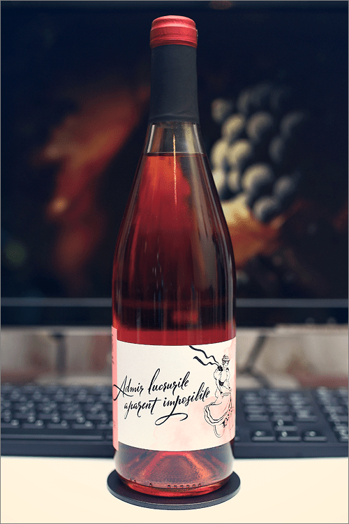 MINIS_TERRIOS_Rose_2014