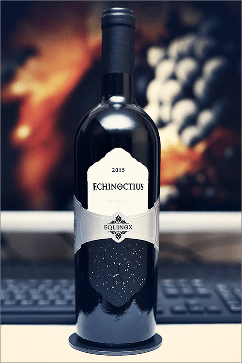 EQUINOX_Echinoctius_2015