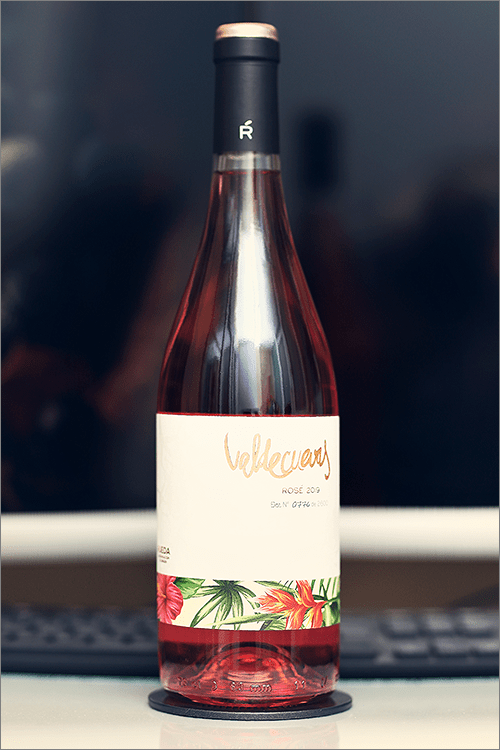 VALDECUEVAS_Rose_2019