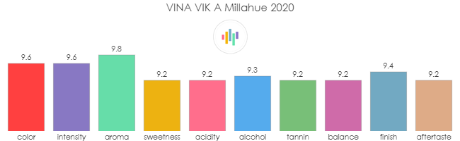 VINA_VIK_A_Millahue_2020_rev