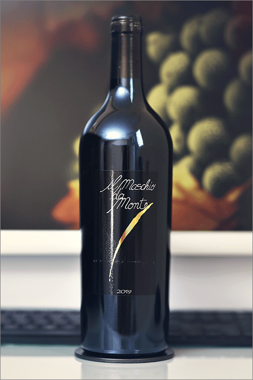 SANTA_BARBARA_IlMoschioDaMonte_RossoPiceno_2019