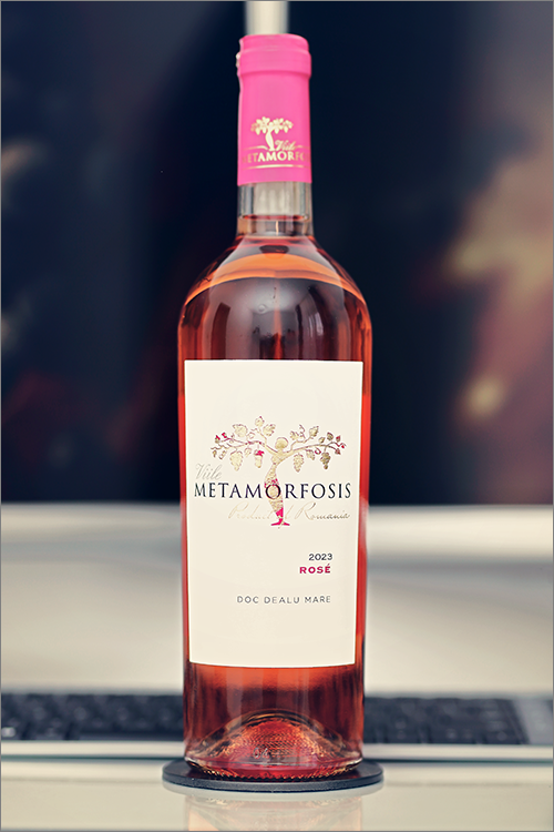 VIILE_METAMORFOSIS_Rose_2023